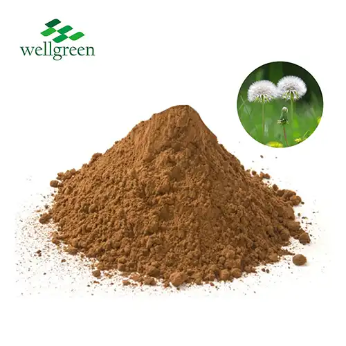 Dandelion Root Extract Powder